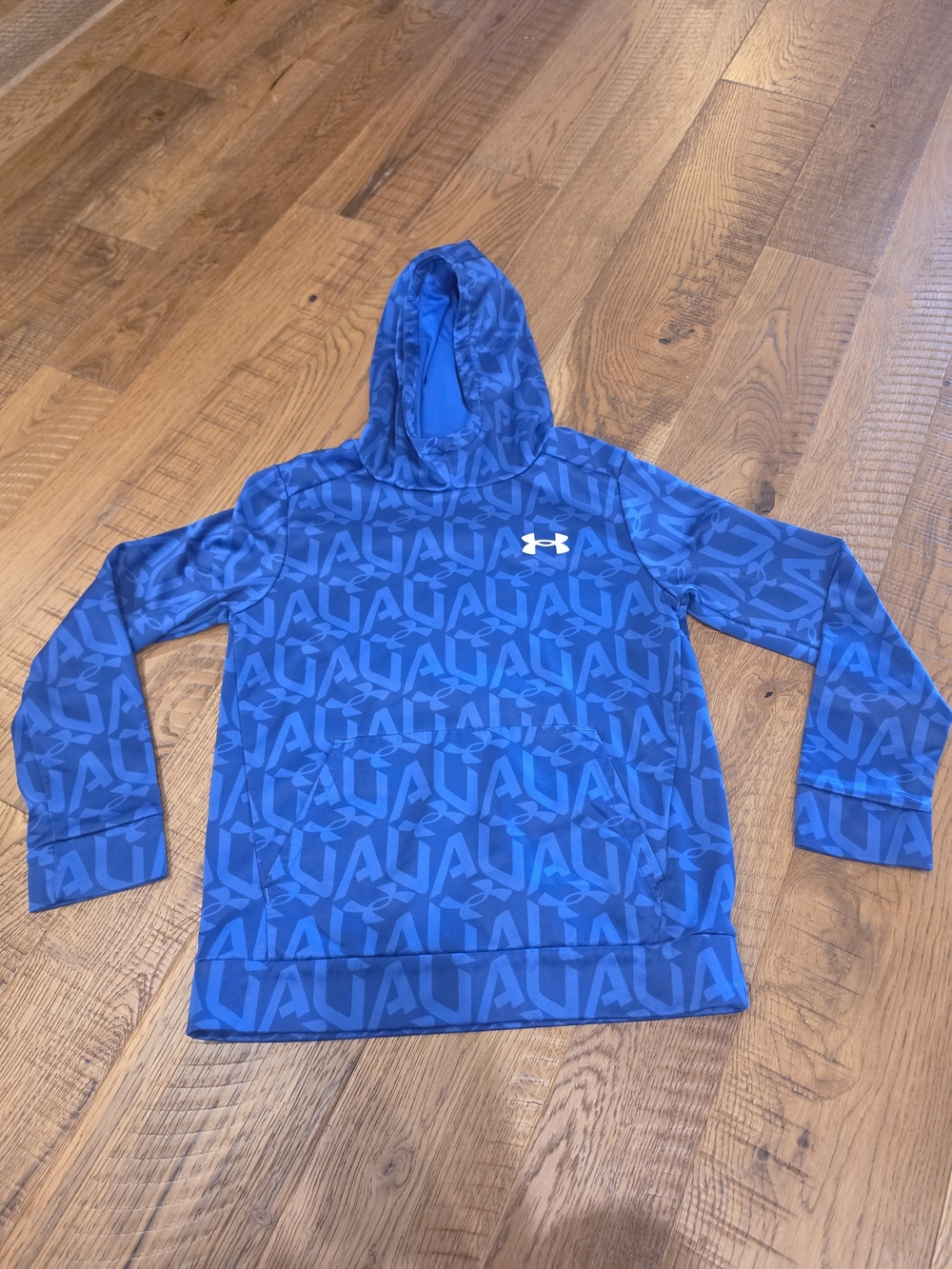 Under Armour Boys Blue Graphic Logo Hoodie